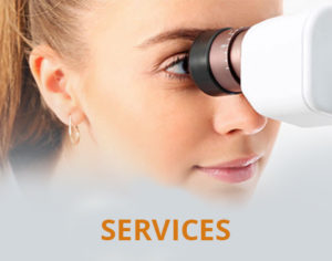 Eyes on Brickell : services