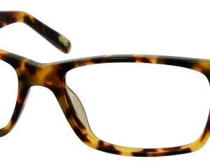 Eyes on Brickell: VIDERE CARLO Tortoise Classic New