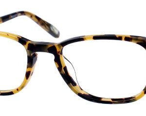 Eyes on Brickell: Videre -VIDERE HAYDEN Classic Tortoise