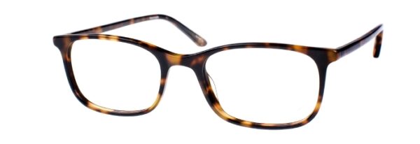 Eyes on Brickell: VIDERE MICHAEL Dark Tortoise