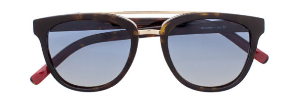 Eyes on Brickell: VIDERE RANDOLPH Dark Tortoise