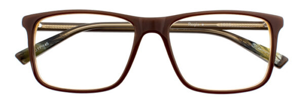 Eyes on Brickell: VIDERE REGIS Chestnut