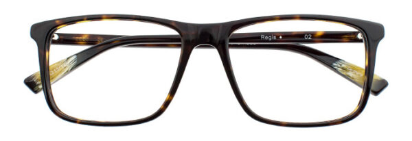 Eyes on Brickell: VIDERE REGIS Dark Olive Tortoise