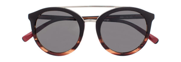 Eyes on Brickell: VIDERE ROBIN Cola