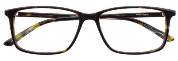 Eyes on Brickell: VIDERE SEAN Dark Olive Tortoise