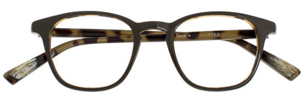 Eyes on Brickell: VIDERE SEPP Olive Tortoise Classic