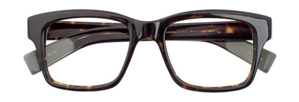 Eyes on Brickell: VIDERE SIXTUS Dark Olive Tortoise
