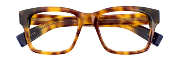 Eyes on Brickell: VIDERE SIXTUS Olive Tortoise