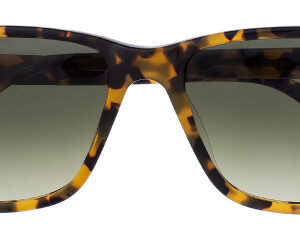 Eyes on Brickell: VIDERE TIM Classic Tortoise