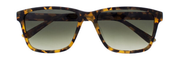 Eyes on Brickell: VIDERE TIM Classic Tortoise