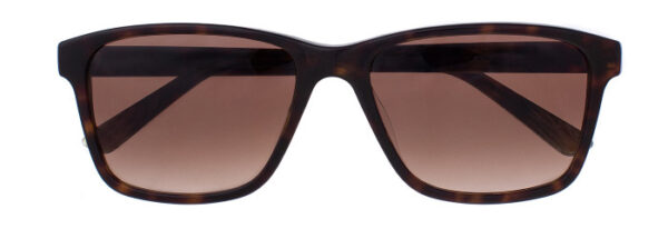 Eyes on Brickell: VIDERE TIM Dark Tortoise