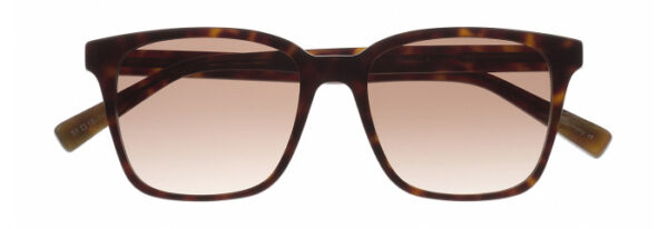 Eyes on Brickell: VIDERE VALERI Dark Tortoise