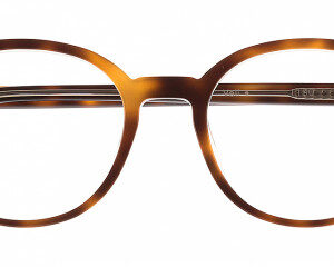 Eyes on Brickell: Videre -VIDERE VELI Autumn Transparent