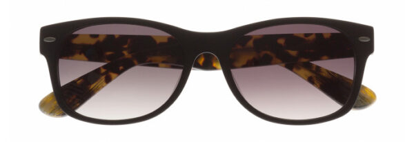 Eyes on Brickell: VIDERE VICTOR Matte Black/Tortoise