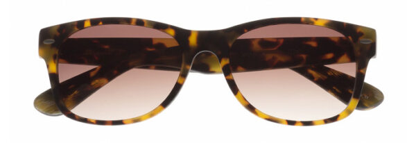 Eyes on Brickell: VIDERE VICTOR Matte Tortoise Classic