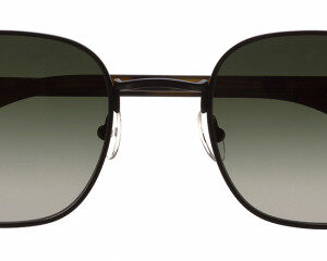 Eyes on Brickell: VIDERE WALTER Matte Blk/Blk Tort GRN