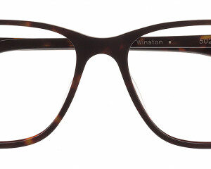 Eyes on Brickell: Videre - VIDERE WINSTON Matte Dark Tortoise