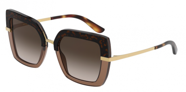 Eyes on Brickell: Dolce & Gabbana - 0DG4373 Havana on Transparent Brown