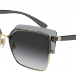 Eyes on Brickell: Dolce & Gabbana – 0DG6126 Transparent Grey/Gold