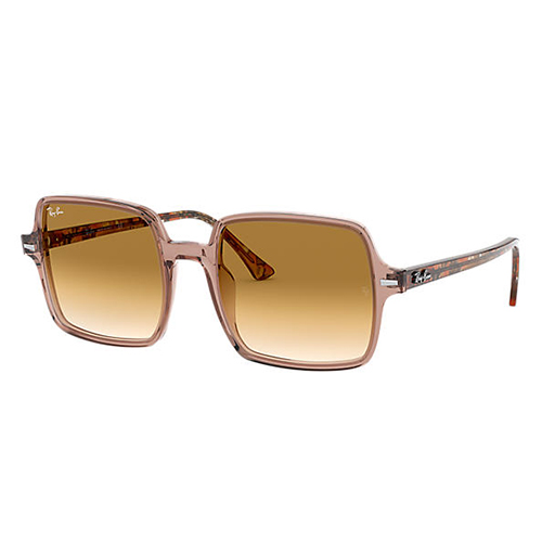 Eyes on Brickell: Rayban -RB1973 Transparent Brown