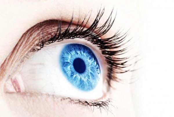 Eyes on Brickell : Eye Formula